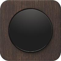 Berker R.1, Рамка: морёный натуральный дуб. Вставка: черный