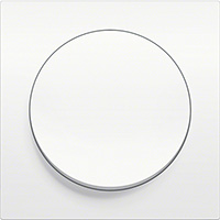 Berker R.8, Рамка: полярная белизна. Вставка: полярная белизна. Пластик