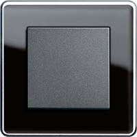GIRA, Esprit, Цвет: Черное стекло Glass C / Антрацит