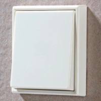 JUNG, LS 990, Цвет: Белый