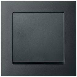 Merten, M-Pure, Цвет: Антрацит