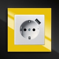 Электрическая розетка с USB ABB, Busch-axcent, Цвет: Желтый