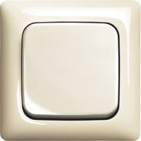 ABB, Busch-Duro 2000 SI Linear, Цвет: Слоновая кость