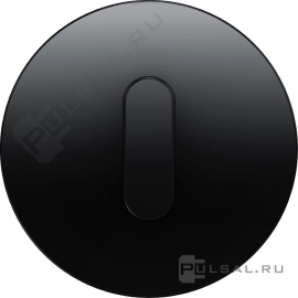 Накладка с черной ручкой
R.Classic,   цвет - черный глянцевый,  пластмасса,  1001204500,  10 01 2045 00,  Berker
 - PULSAL.RU