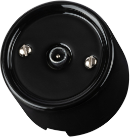 Розетка оконечная
Болонь,  телевизионная (TV),  одинарная,   цвет - черный,  фарфор / керамика,  SQ1820-0253,  TDM
 - PULSAL.RU