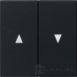 Двойные клавиши со стрелками
Studio,  E2,  Esprit,  ClassiX,  ClassiX Art,  без фиксации,  с фиксацией,  без подсветки,   цвет - черный матовый,  пластмасса,  0294005,  0294 005,  Gira
 - PULSAL.RU