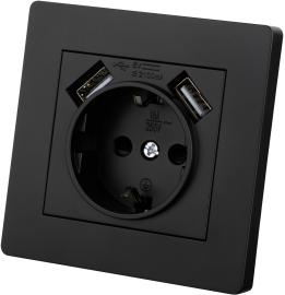 Розетка USB A+A, 2.1А с электрической розеткой
Сенеж,  USB type-A 5V,  Электр. с USB,  двойная,   цвет - черный,  пластмасса,  SQ1816-0283,  TDM
 - PULSAL.RU