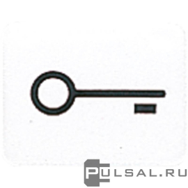 Символ для клавиши "ключ"
CD 500,  CD ударопрочная,  CD plus,  AP 600,  WG 600,  WG 800,   цвет - белый,  33TWW,  33 T WW,  JUNG
 - PULSAL.RU