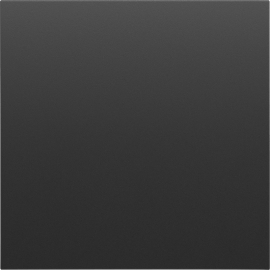 Накладка заглушки
S08,   цвет - черный графит,  пластмасса,  DS26857,  Donel
 - PULSAL.RU