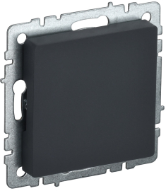 Заглушка
BRITE,   цвет - графит,  пластмасса,  BR-PL10-K53,  IEK
 - PULSAL.RU