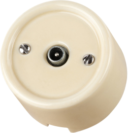Розетка оконечная
Болонь,  телевизионная (TV),  одинарная,   цвет - слоновая кость,  фарфор / керамика,  SQ1820-0353,  TDM
 - PULSAL.RU