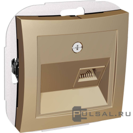 Розетка телефонная RJ11
Дуэт,  одинарная,   цвет - шампань,  пластмасса,  WDE000481,  Schneider Electric
 - PULSAL.RU