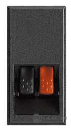 Розетка акустическая
Axolute,  Axolute AIR,  1 пара,   цвет - антрацит,  пластмасса,  HS4294,  BTicino
 - PULSAL.RU