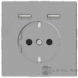 Розетка USB A+A, 2.4А с электрической розеткой
D-Life,  USB type-A 5V,  Электр. с USB,  двойная,   цвет - нержавеющая сталь,  пластмасса,  MTN2366-6036,  MEG2366-6036,  Merten
 - PULSAL.RU