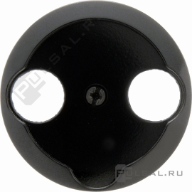 Накладка
1930,  Glas,  телевизионная (TV),  спутниковая (SAT),  двойная,   цвет - черный глянцевый,  пластмасса,  103921,  1039 21,  Berker
 - PULSAL.RU