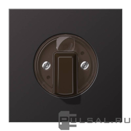 Накладка
LS 990,  LS ZERO,  LS-design,   цвет - алюминий темный,  металл,  AL1941D,  AL 1941 D,  JUNG
 - PULSAL.RU