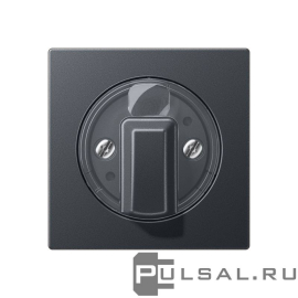 Накладка
A VIVA,  A creation,  A 550,  A flow,  AS 500,   цвет - антрацит матовый,  пластмасса,  A1541BFANM,  A 1541 BF ANM,  JUNG
 - PULSAL.RU