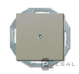 Заглушка
Basic 55,   цвет - шампань,  пластмасса,  2538-93-507,  2CKA001715A0314,  ABB
 - PULSAL.RU