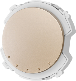 Выключатель
Байкал,  одноклавишный,  без подсветки,   цвет - шампань,  пластмасса,  SQ1819-0530,  TDM
 - PULSAL.RU